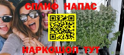 mdpv Новокубанск