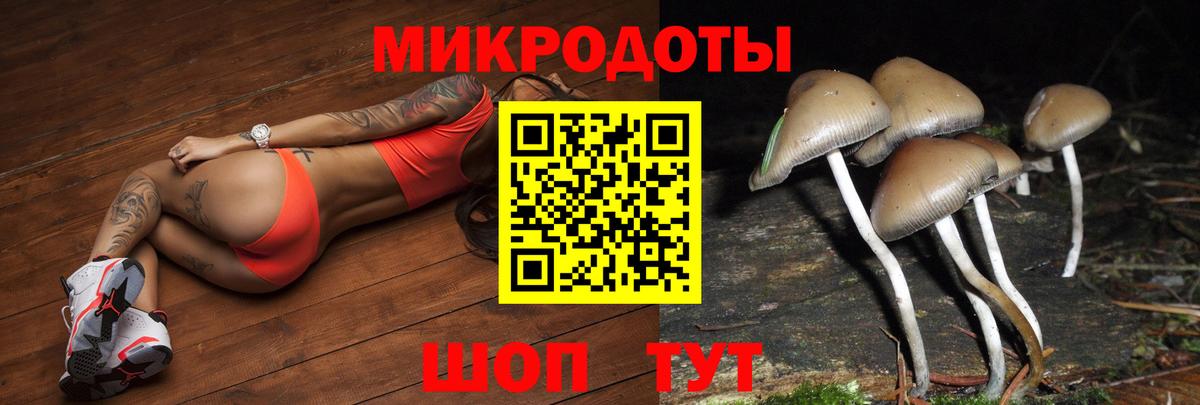 Псилоцибиновые грибы GOLDEN TEACHER  Вход с VPN  Прохладный 
