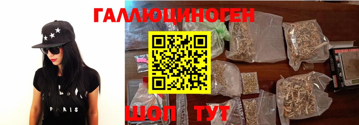 Псилоцибиновые грибы GOLDEN TEACHER Прохладный